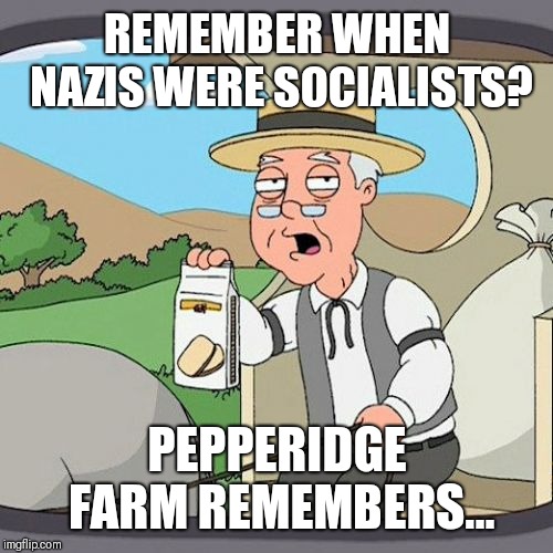 Pepperidge Farm Remembers Meme | REMEMBER WHEN NAZIS WERE SOCIALISTS? PEPPERIDGE FARM REMEMBERS... | image tagged in memes,pepperidge farm remembers | made w/ Imgflip meme maker