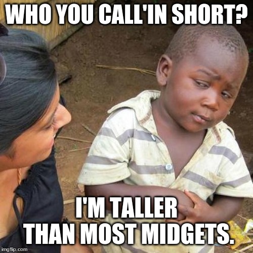 Third World Skeptical Kid | WHO YOU CALL'IN SHORT? I'M TALLER THAN MOST MIDGETS. | image tagged in memes,third world skeptical kid | made w/ Imgflip meme maker