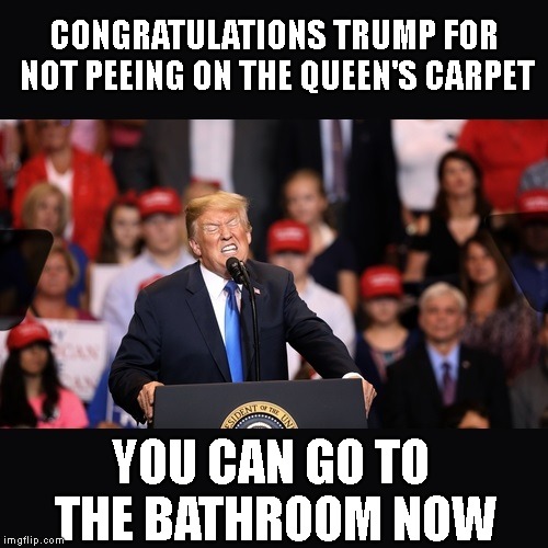Trump Was a Good Boy On His Trip to England (except for his obnoxious tweets) | CONGRATULATIONS TRUMP FOR NOT PEEING ON THE QUEEN'S CARPET; YOU CAN GO TO THE BATHROOM NOW | image tagged in housebroken,piddle,pee pee,impeach trump,dump trump | made w/ Imgflip meme maker