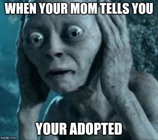 Scared Gollum | WHEN YOUR MOM TELLS YOU; YOUR ADOPTED | image tagged in scared gollum | made w/ Imgflip meme maker