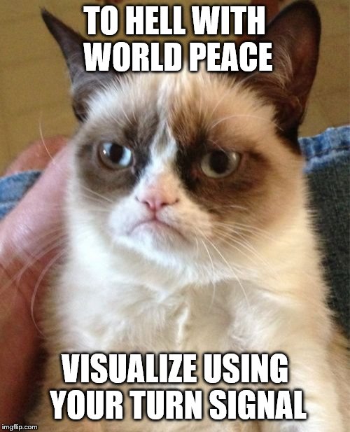Grumpy Cat Meme | TO HELL WITH WORLD PEACE; VISUALIZE USING YOUR TURN SIGNAL | image tagged in memes,grumpy cat | made w/ Imgflip meme maker