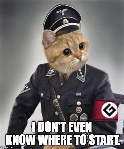 Grammar Nazi Cat | I DON'T EVEN KNOW WHERE TO START. | image tagged in grammar nazi cat | made w/ Imgflip meme maker