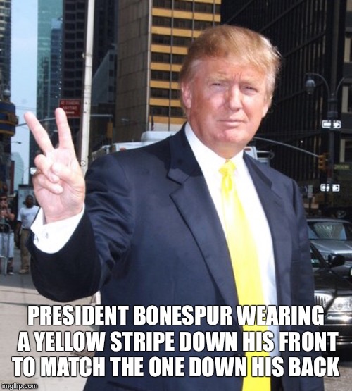 Coward | PRESIDENT BONESPUR WEARING A YELLOW STRIPE DOWN HIS FRONT TO MATCH THE ONE DOWN HIS BACK | image tagged in coward | made w/ Imgflip meme maker