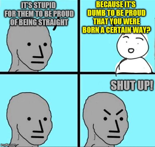 Some people are starting a Straight Pride Parade | BECAUSE IT'S DUMB TO BE PROUD THAT YOU WERE BORN A CERTAIN WAY? IT'S STUPID FOR THEM TO BE PROUD OF BEING STRAIGHT; SHUT UP! | image tagged in npc meme,straight,lgbtq,gay pride,memes,liberal hypocrisy | made w/ Imgflip meme maker