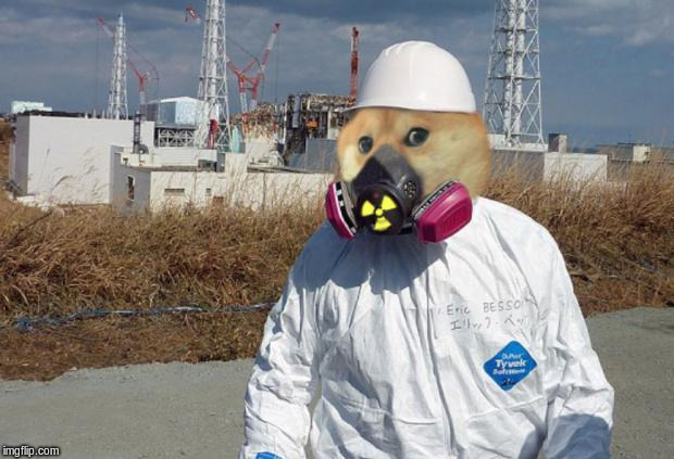 fukushima doge | image tagged in fukushima doge | made w/ Imgflip meme maker