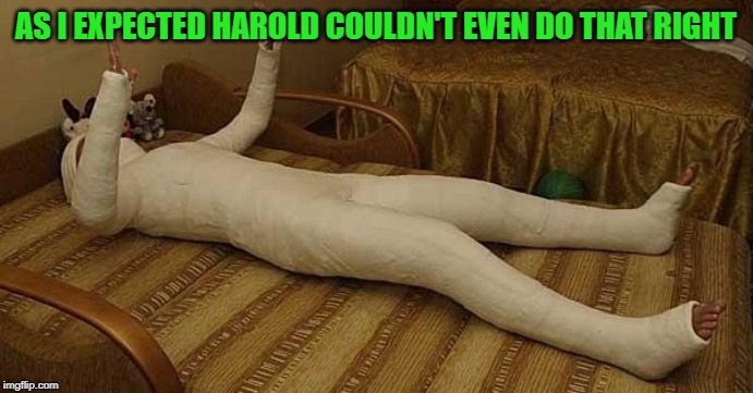whole body cast | AS I EXPECTED HAROLD COULDN'T EVEN DO THAT RIGHT | image tagged in whole body cast | made w/ Imgflip meme maker
