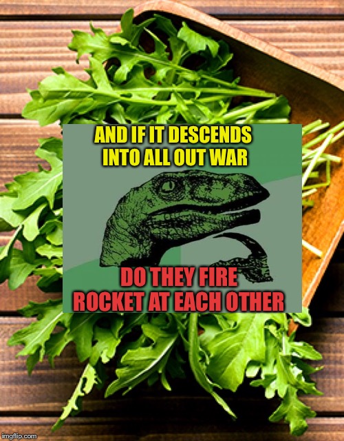 AND IF IT DESCENDS INTO ALL OUT WAR DO THEY FIRE ROCKET AT EACH OTHER | made w/ Imgflip meme maker