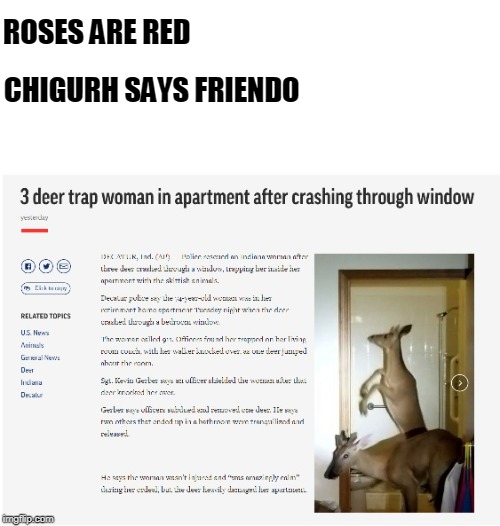 Deer, deer, deer | ROSES ARE RED; CHIGURH SAYS FRIENDO | image tagged in roses are red | made w/ Imgflip meme maker