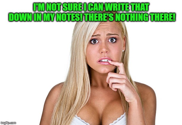 Dumb Blonde | I'M NOT SURE I CAN WRITE THAT DOWN IN MY NOTES! THERE'S NOTHING THERE! | image tagged in dumb blonde | made w/ Imgflip meme maker