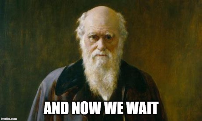 Charles Darwin | AND NOW WE WAIT | image tagged in charles darwin | made w/ Imgflip meme maker