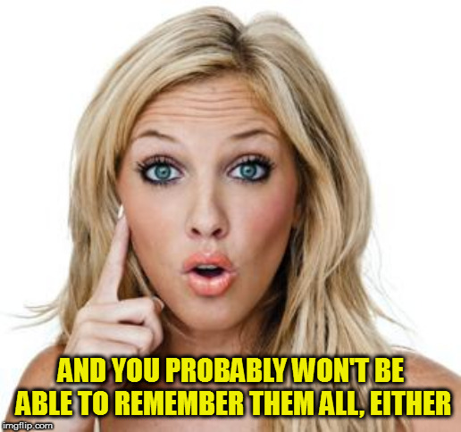 Dumb blonde | AND YOU PROBABLY WON'T BE ABLE TO REMEMBER THEM ALL, EITHER | image tagged in dumb blonde | made w/ Imgflip meme maker