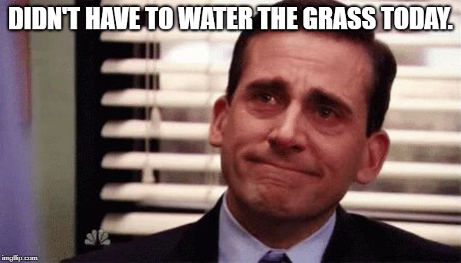 Happy Cry | DIDN'T HAVE TO WATER THE GRASS TODAY. | image tagged in happy cry | made w/ Imgflip meme maker