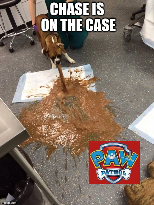 Puke Dog | CHASE IS ON THE CASE | image tagged in puke dog | made w/ Imgflip meme maker