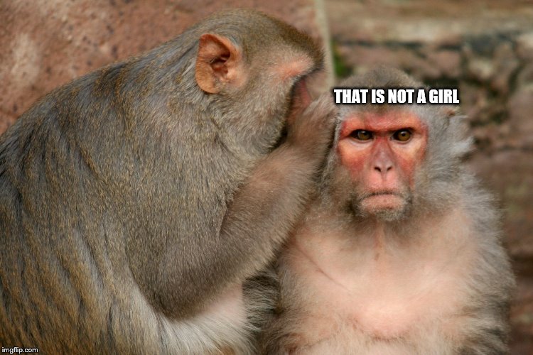 Whispering Monkeys | THAT IS NOT A GIRL | image tagged in whispering monkeys | made w/ Imgflip meme maker