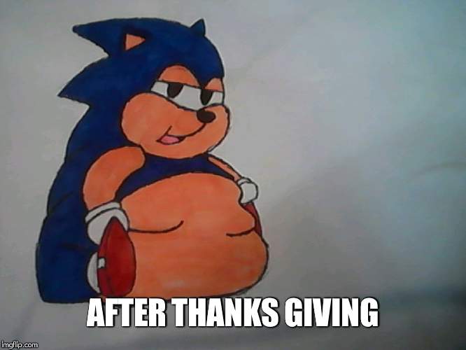 Sonic | AFTER THANKS GIVING | image tagged in sonic | made w/ Imgflip meme maker