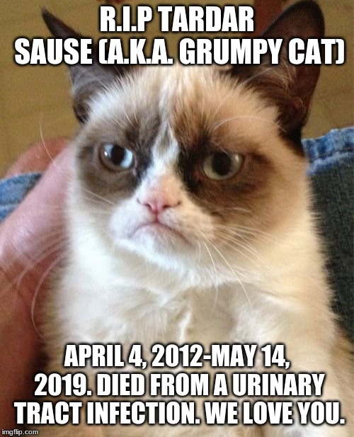 Grumpy Cat | R.I.P
TARDAR SAUSE
(A.K.A. GRUMPY CAT); APRIL 4, 2012-MAY 14, 2019. DIED FROM A URINARY TRACT INFECTION. WE LOVE YOU. | image tagged in memes,grumpy cat | made w/ Imgflip meme maker