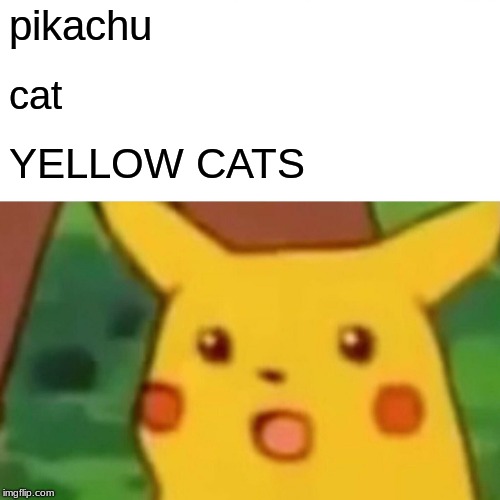 Surprised Pikachu Meme | pikachu; cat; YELLOW CATS | image tagged in memes,surprised pikachu | made w/ Imgflip meme maker