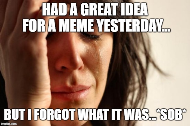 My memory's gone bad... | HAD A GREAT IDEA FOR A MEME YESTERDAY... BUT I FORGOT WHAT IT WAS...*SOB* | image tagged in memes,first world problems,forgotten memes,i forgot | made w/ Imgflip meme maker