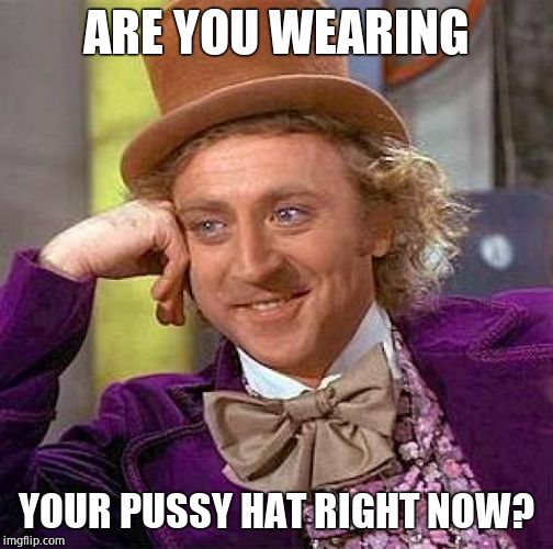 Creepy Condescending Wonka Meme | ARE YOU WEARING YOUR PUSSY HAT RIGHT NOW? | image tagged in memes,creepy condescending wonka | made w/ Imgflip meme maker