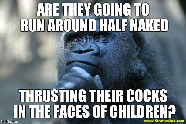 Deep Thoughts | ARE THEY GOING TO RUN AROUND HALF NAKED THRUSTING THEIR COCKS IN THE FACES OF CHILDREN? | image tagged in deep thoughts | made w/ Imgflip meme maker