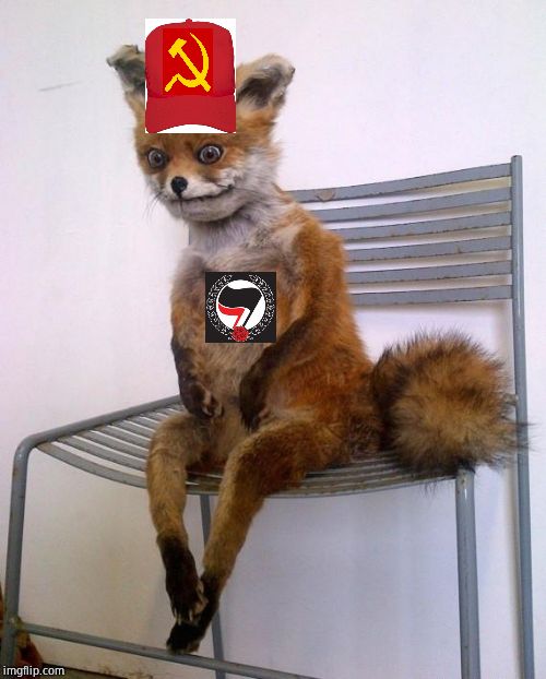Stoned Fox | image tagged in stoned fox | made w/ Imgflip meme maker