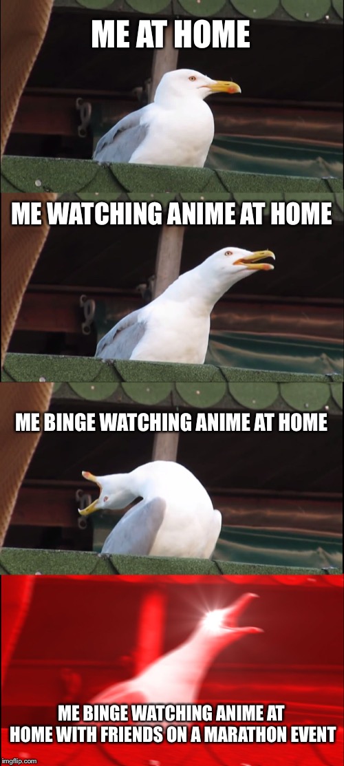 When Naruto’s on | ME AT HOME; ME WATCHING ANIME AT HOME; ME BINGE WATCHING ANIME AT HOME; ME BINGE WATCHING ANIME AT HOME WITH FRIENDS ON A MARATHON EVENT | image tagged in memes,inhaling seagull | made w/ Imgflip meme maker