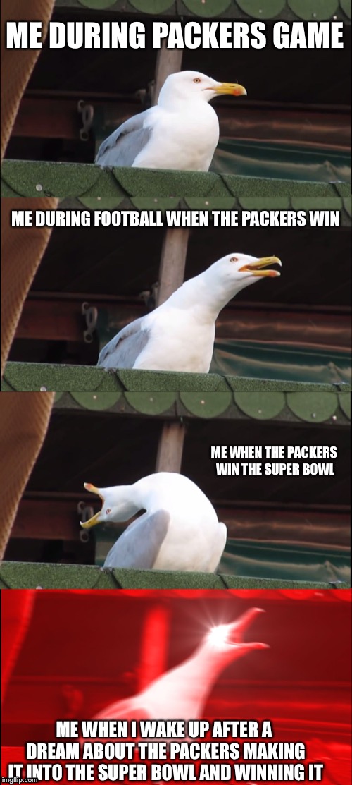 Packers game | ME DURING PACKERS GAME; ME DURING FOOTBALL WHEN THE PACKERS WIN; ME WHEN THE PACKERS WIN THE SUPER BOWL; ME WHEN I WAKE UP AFTER A DREAM ABOUT THE PACKERS MAKING IT INTO THE SUPER BOWL AND WINNING IT | image tagged in memes,inhaling seagull | made w/ Imgflip meme maker