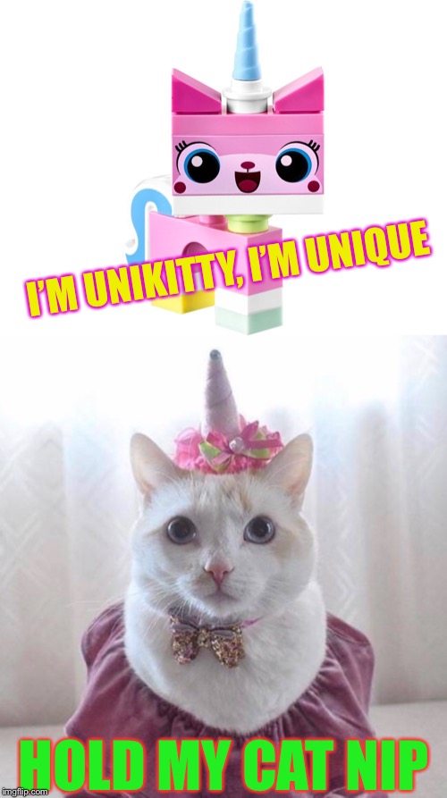 You ain’t all cat ! | I’M UNIKITTY, I’M UNIQUE; HOLD MY CAT NIP | image tagged in unikitty,hold my beer,rivalry,cats | made w/ Imgflip meme maker