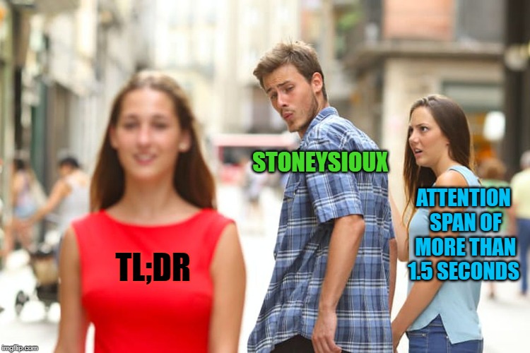 Distracted Boyfriend Meme | STONEYSIOUX; ATTENTION SPAN OF MORE THAN 1.5 SECONDS; TL;DR | image tagged in memes,distracted boyfriend | made w/ Imgflip meme maker