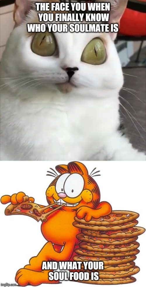 Cat loves pizza/Garfield | THE FACE YOU WHEN YOU FINALLY KNOW WHO YOUR SOULMATE IS; AND WHAT YOUR SOUL FOOD IS | image tagged in funny cats,garfield,memes | made w/ Imgflip meme maker