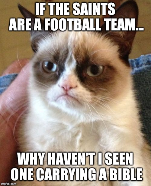 Grumpy Cat | IF THE SAINTS ARE A FOOTBALL TEAM... WHY HAVEN’T I SEEN ONE CARRYING A BIBLE | image tagged in memes,grumpy cat | made w/ Imgflip meme maker