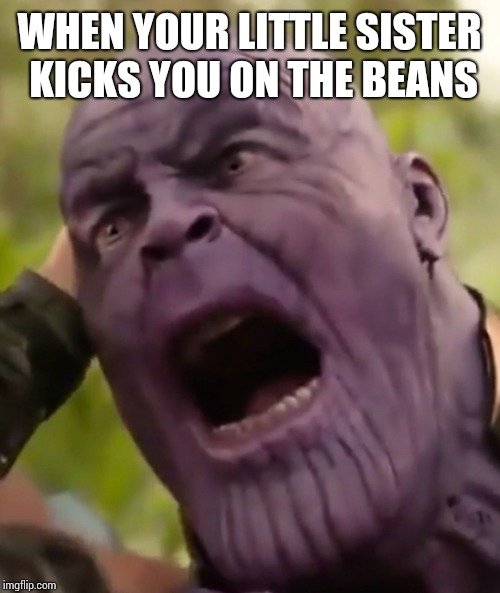 Thanos Scream | WHEN YOUR LITTLE SISTER KICKS YOU ON THE BEANS | image tagged in thanos scream | made w/ Imgflip meme maker