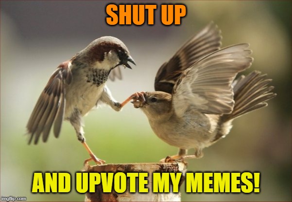 Shhhh! Unless you wanna comment. | SHUT UP; AND UPVOTE MY MEMES! | image tagged in please be quiet,begging,upvotes,memes | made w/ Imgflip meme maker