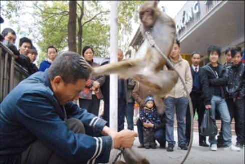 monkeyfu Blank Meme Template