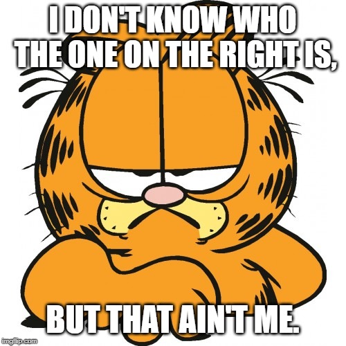 Garfield | I DON'T KNOW WHO THE ONE ON THE RIGHT IS, BUT THAT AIN'T ME. | image tagged in garfield | made w/ Imgflip meme maker