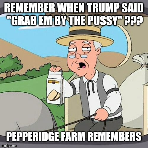 REMEMBER WHEN TRUMP SAID "GRAB EM BY THE PUSSY" ??? PEPPERIDGE FARM REMEMBERS | image tagged in memes,pepperidge farm remembers | made w/ Imgflip meme maker