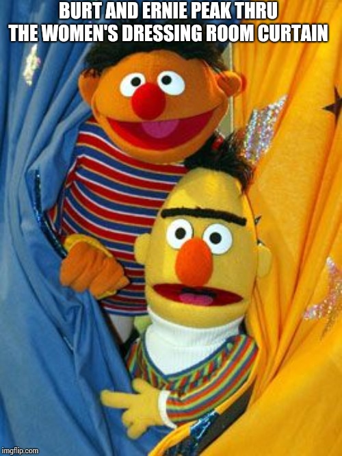 Bert and Ernie | BURT AND ERNIE PEAK THRU THE WOMEN'S DRESSING ROOM CURTAIN | image tagged in bert and ernie | made w/ Imgflip meme maker