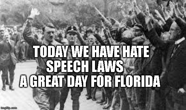 Nazi Germany Approves | TODAY WE HAVE HATE SPEECH LAWS       A GREAT DAY FOR FLORIDA | image tagged in nazi germany approves | made w/ Imgflip meme maker