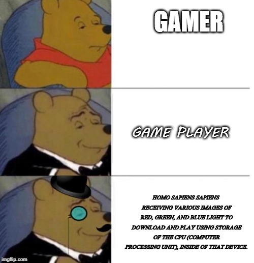 Tuxedo Winnie the Pooh (3 panel) | GAMER; GAME PLAYER; HOMO SAPIENS SAPIENS RECEIVING VARIOUS IMAGES OF RED, GREEN, AND BLUE LIGHT TO DOWNLOAD AND PLAY USING STORAGE OF THE CPU (COMPUTER PROCESSING UNIT), INSIDE OF THAT DEVICE. | image tagged in tuxedo winnie the pooh 3 panel | made w/ Imgflip meme maker