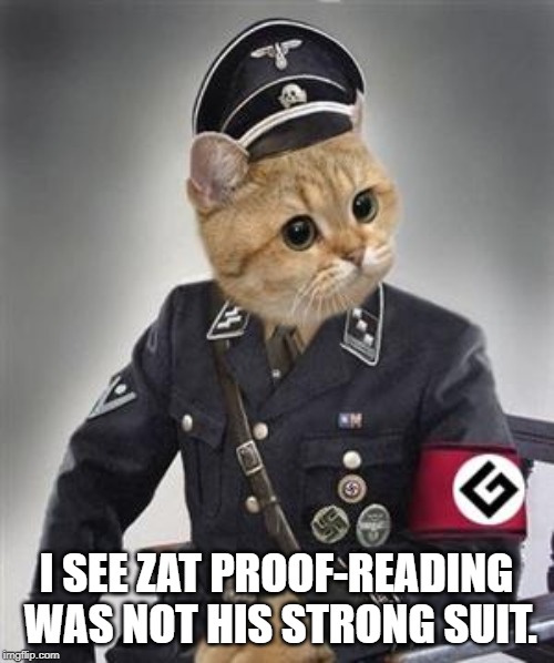Grammar Nazi Cat | I SEE ZAT PROOF-READING WAS NOT HIS STRONG SUIT. | image tagged in grammar nazi cat | made w/ Imgflip meme maker