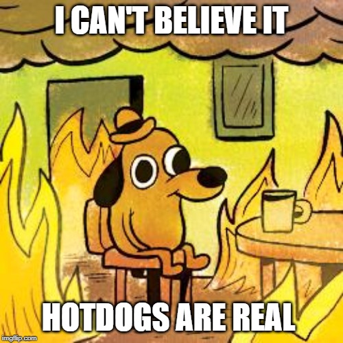 Dog in burning house |  I CAN'T BELIEVE IT; HOTDOGS ARE REAL | image tagged in dog in burning house | made w/ Imgflip meme maker