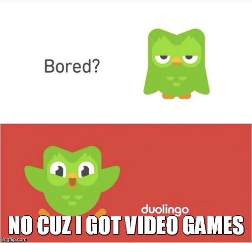 DUOLINGO BORED | NO CUZ I GOT VIDEO GAMES | image tagged in duolingo bored | made w/ Imgflip meme maker