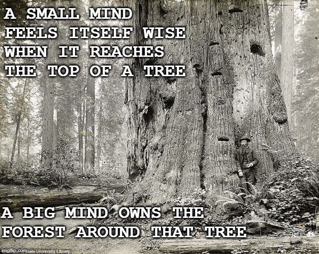 Small minds live in a small world | A SMALL MIND FEELS ITSELF WISE WHEN IT REACHES THE TOP OF A TREE; A BIG MIND OWNS THE FOREST AROUND THAT TREE | image tagged in motivation,meme,small,motivational | made w/ Imgflip meme maker