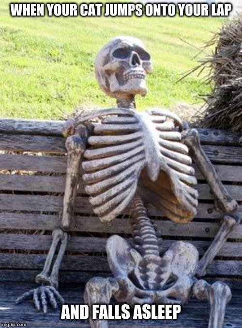 Waiting Skeleton | WHEN YOUR CAT JUMPS ONTO YOUR LAP; AND FALLS ASLEEP | image tagged in memes,waiting skeleton | made w/ Imgflip meme maker