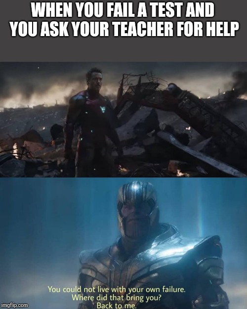 Thanos you could not live with your own failure | WHEN YOU FAIL A TEST AND YOU ASK YOUR TEACHER FOR HELP | image tagged in thanos you could not live with your own failure | made w/ Imgflip meme maker