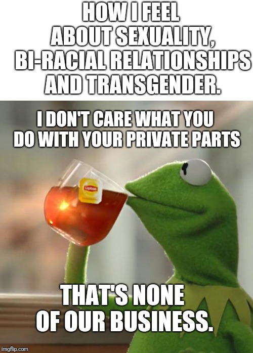 Idc what you do with your private parts, they are private for a reason. Gay pride month 2019 | HOW I FEEL ABOUT SEXUALITY, BI-RACIAL RELATIONSHIPS AND TRANSGENDER. I DON'T CARE WHAT YOU DO WITH YOUR PRIVATE PARTS; THAT'S NONE OF OUR BUSINESS. | image tagged in but thats none of my business,blank white template,2019,gay pride,idc,love | made w/ Imgflip meme maker