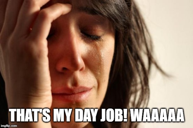 First World Problems Meme | THAT'S MY DAY JOB! WAAAAA | image tagged in memes,first world problems | made w/ Imgflip meme maker