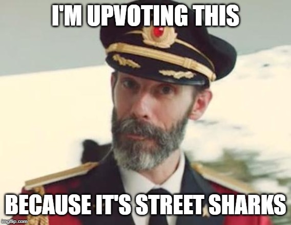 Captain Obvious | I'M UPVOTING THIS BECAUSE IT'S STREET SHARKS | image tagged in captain obvious | made w/ Imgflip meme maker