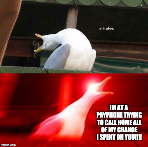 Inhaling Seagull  | IM AT A PAYPHONE TRYING TO CALL HOME ALL OF MY CHANGE I SPENT ON YOU!!!! | image tagged in inhaling seagull | made w/ Imgflip meme maker