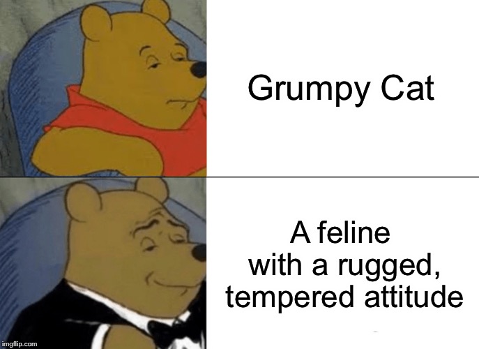 Winnie | Grumpy Cat; A feline with a rugged, tempered attitude | image tagged in memes,tuxedo winnie the pooh,grumpy cat,lol | made w/ Imgflip meme maker